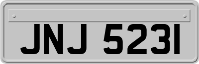JNJ5231
