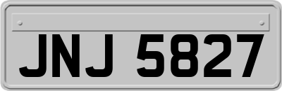 JNJ5827