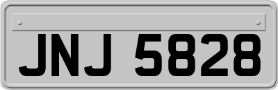 JNJ5828