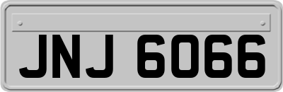 JNJ6066