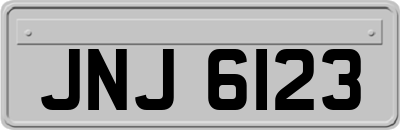 JNJ6123