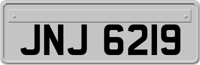JNJ6219