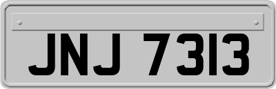 JNJ7313