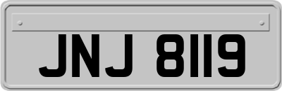 JNJ8119