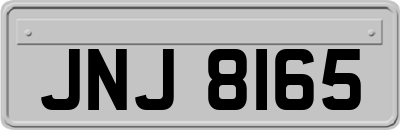 JNJ8165