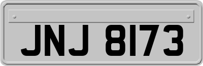 JNJ8173
