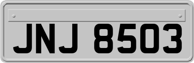 JNJ8503