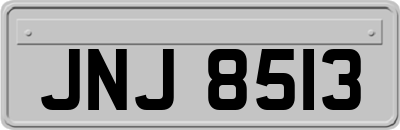 JNJ8513