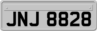 JNJ8828