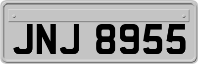 JNJ8955