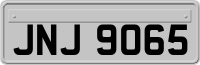 JNJ9065