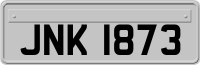 JNK1873