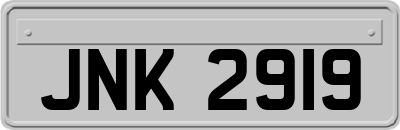 JNK2919