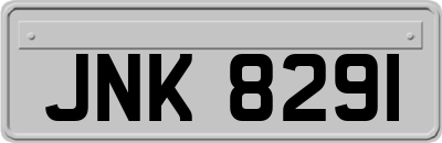 JNK8291