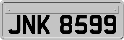 JNK8599