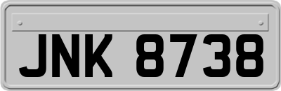 JNK8738