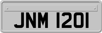 JNM1201