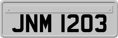 JNM1203