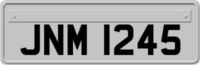 JNM1245