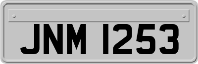 JNM1253