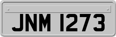 JNM1273