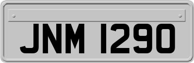 JNM1290