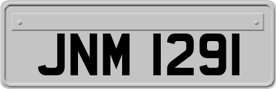 JNM1291