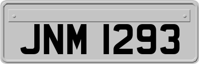 JNM1293