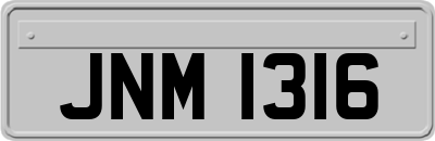 JNM1316