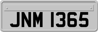 JNM1365