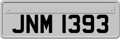 JNM1393