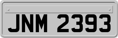 JNM2393