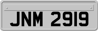 JNM2919