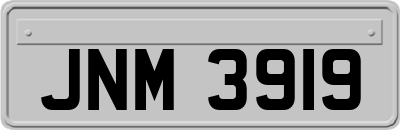 JNM3919