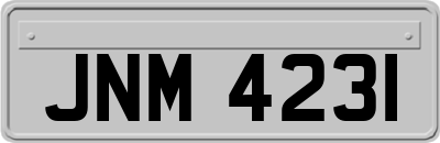 JNM4231