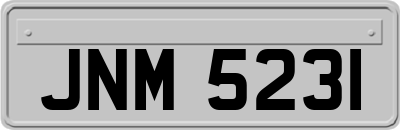 JNM5231