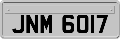 JNM6017