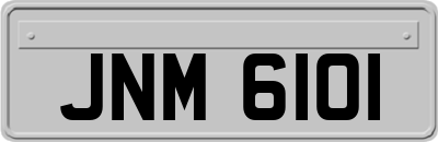 JNM6101
