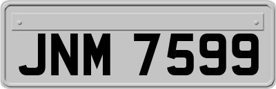 JNM7599