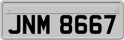 JNM8667