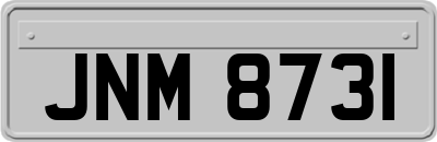 JNM8731