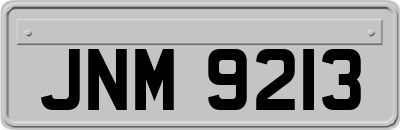 JNM9213