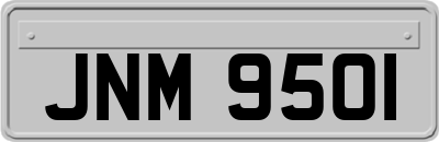 JNM9501