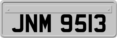 JNM9513