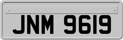 JNM9619