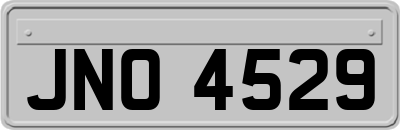 JNO4529