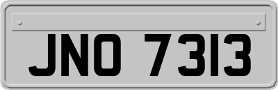 JNO7313