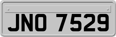 JNO7529