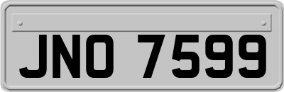 JNO7599