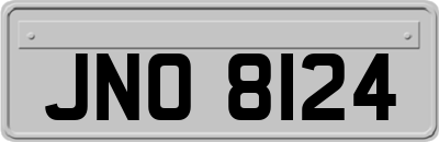 JNO8124